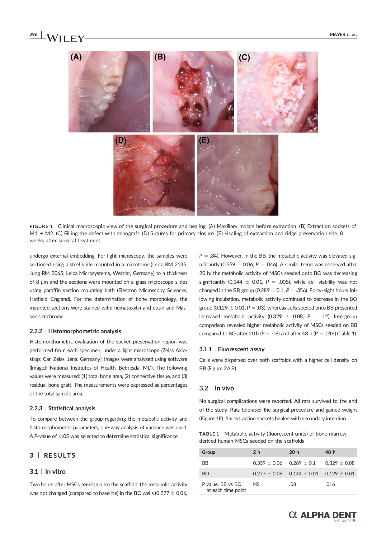 abt-bioactive-bone-2018-paper-in-vitro-study-vs-biooss-_page-0003